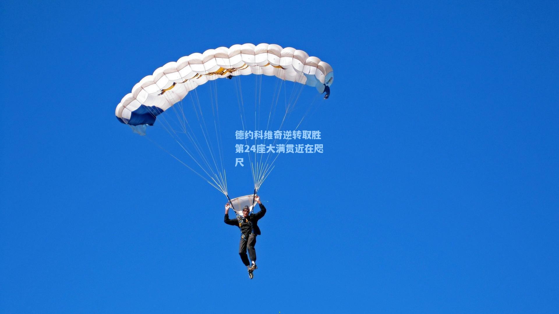 德约科维奇逆转取胜 第24座大满贯近在咫尺